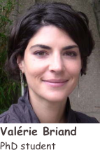 ￼
Valérie Briand
PhD student