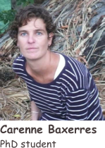 ￼
Carenne Baxerres
PhD student