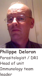 ￼
Philippe Deloron
Parasitologist / DR1
Head of unit
Immunology team leader